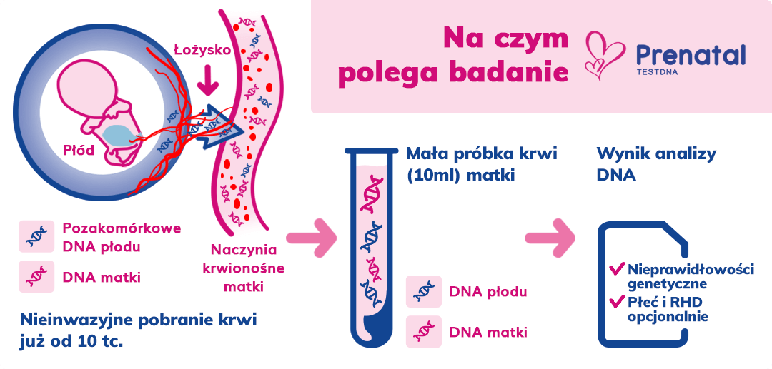 Na czym polega Prenatal testDNA