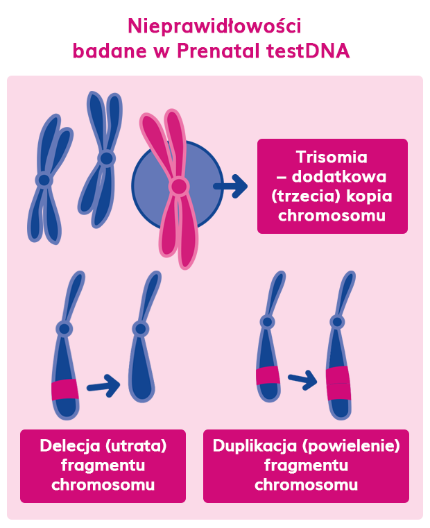 nieprawidłowości badane w prenatal testDNA