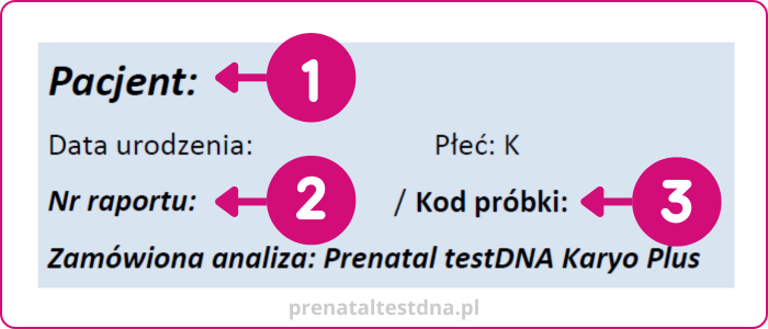 Prenatal testDNA - opis wyniku 1